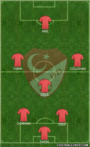 Turkey Formation 2012