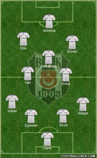 Besiktas JK Formation 2012