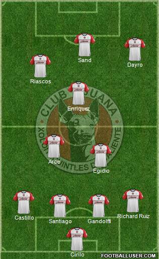 Xoloitzcuintles de Tijuana Formation 2012