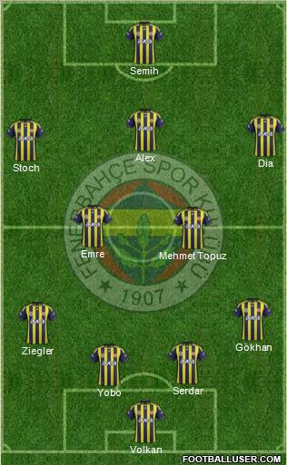Fenerbahçe SK Formation 2012