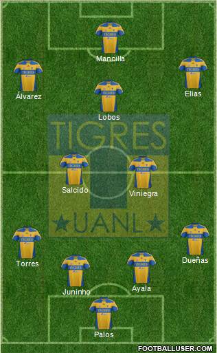 Club Universitario de Nuevo León Formation 2012