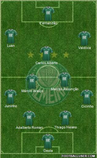 SE Palmeiras Formation 2012