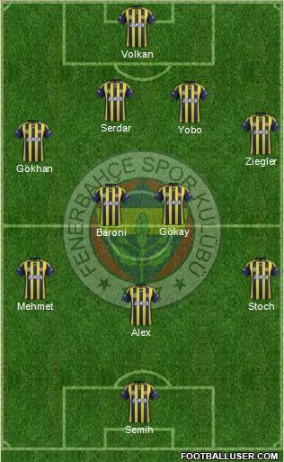 Fenerbahçe SK Formation 2012