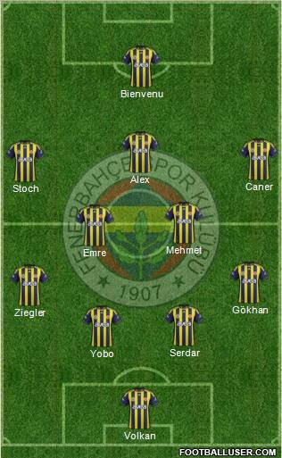 Fenerbahçe SK Formation 2012