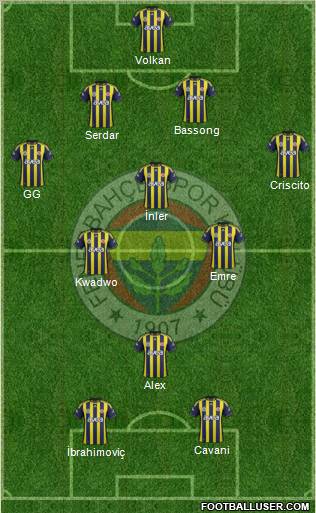 Fenerbahçe SK Formation 2012