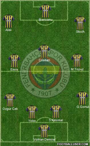 Fenerbahçe SK Formation 2012