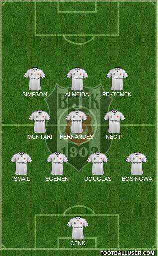 Besiktas JK Formation 2012