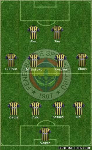 Fenerbahçe SK Formation 2012
