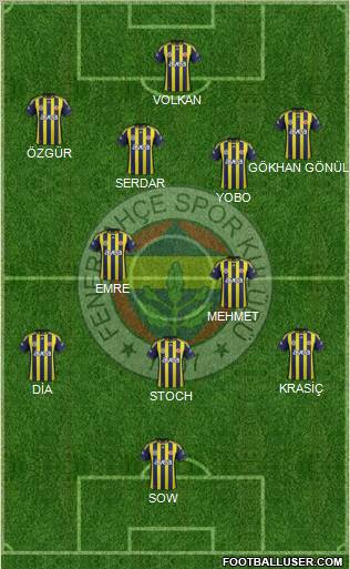 Fenerbahçe SK Formation 2012