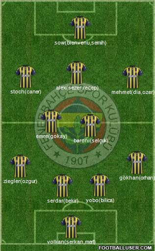 Fenerbahçe SK Formation 2012