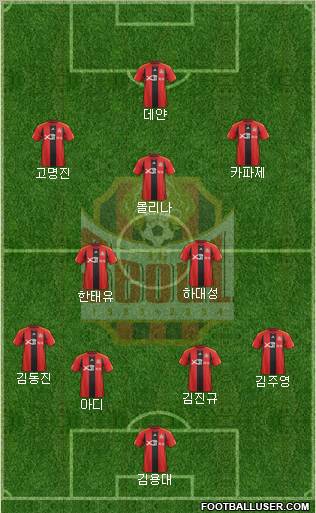 FC Seoul Formation 2012