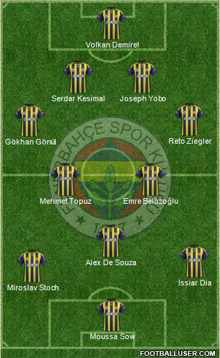 Fenerbahçe SK Formation 2012