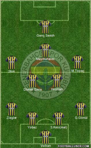 Fenerbahçe SK Formation 2012