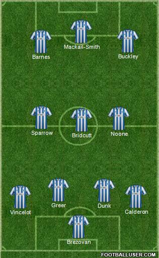 Brighton and Hove Albion Formation 2012