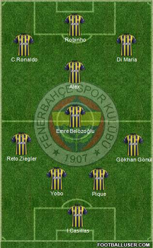 Fenerbahçe SK Formation 2012