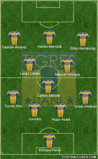 Club Universitario de Nuevo León Formation 2012