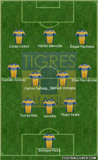 Club Universitario de Nuevo León Formation 2012