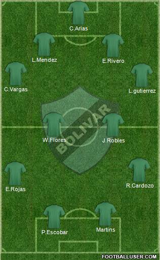 C Bolívar Formation 2012
