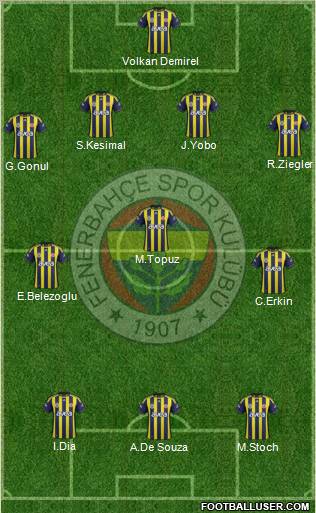 Fenerbahçe SK Formation 2012