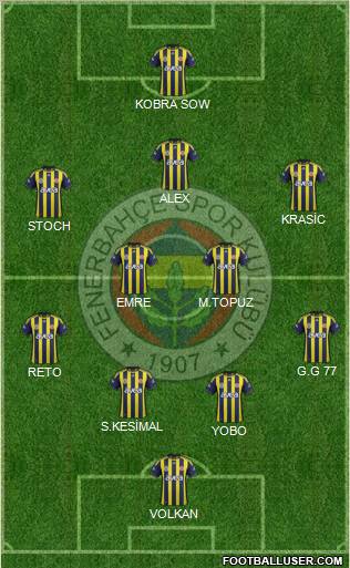 Fenerbahçe SK Formation 2012