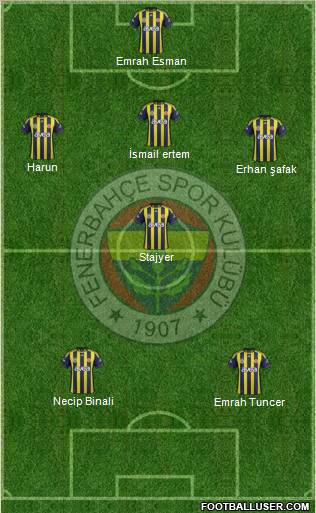 Fenerbahçe SK Formation 2012