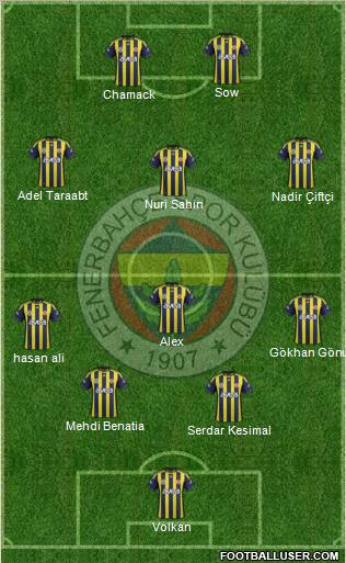 Fenerbahçe SK Formation 2012