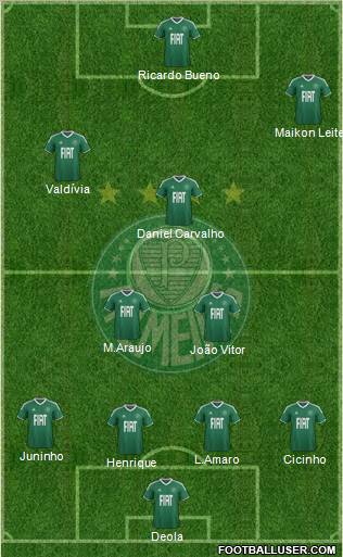 SE Palmeiras Formation 2012