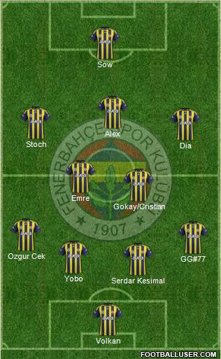 Fenerbahçe SK Formation 2012