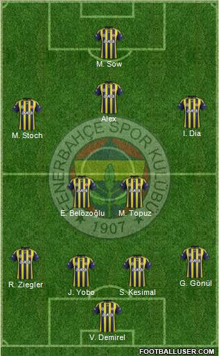 Fenerbahçe SK Formation 2012