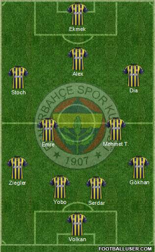 Fenerbahçe SK Formation 2012