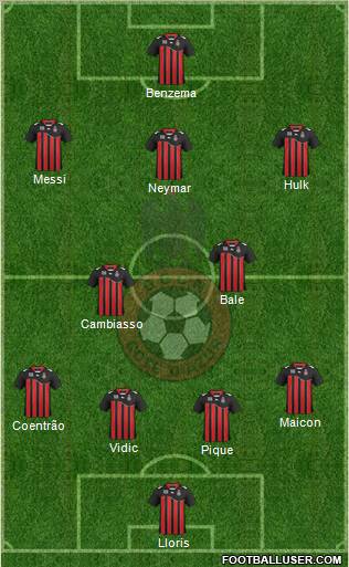 OGC Nice Côte d'Azur Formation 2012