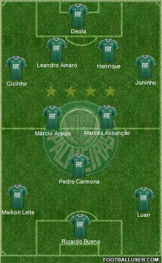 SE Palmeiras Formation 2012