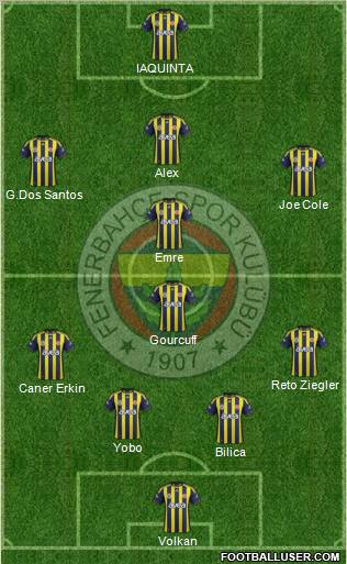 Fenerbahçe SK Formation 2012