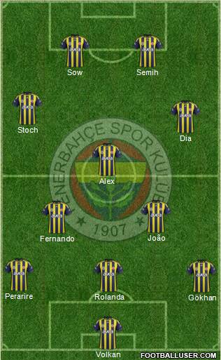 Fenerbahçe SK Formation 2012