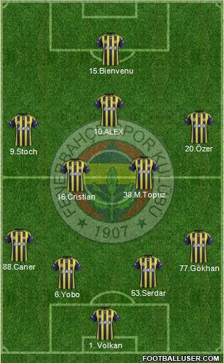 Fenerbahçe SK Formation 2012