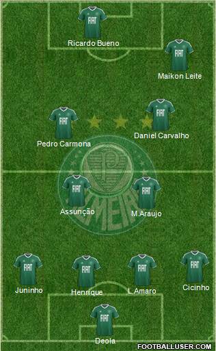 SE Palmeiras Formation 2012