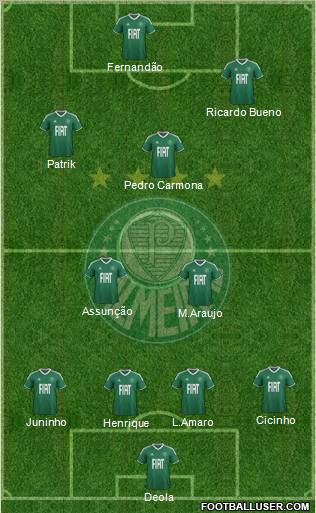 SE Palmeiras Formation 2012