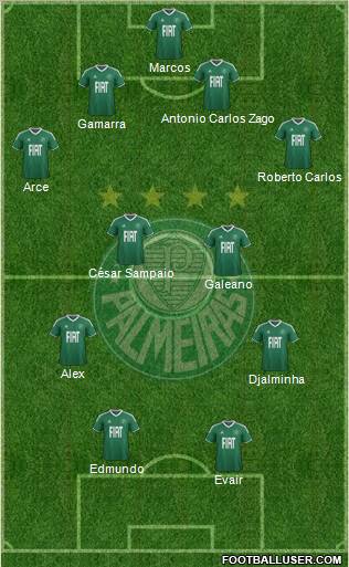 SE Palmeiras Formation 2012