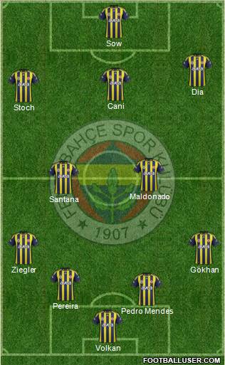 Fenerbahçe SK Formation 2012