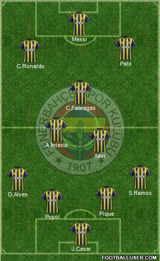 Fenerbahçe SK Formation 2012