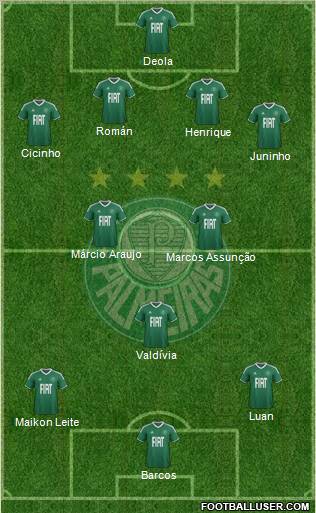 SE Palmeiras Formation 2012