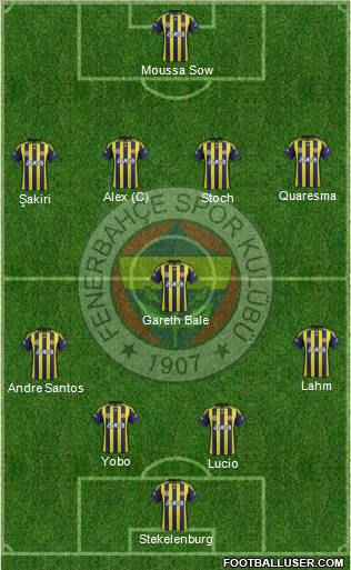 Fenerbahçe SK Formation 2012