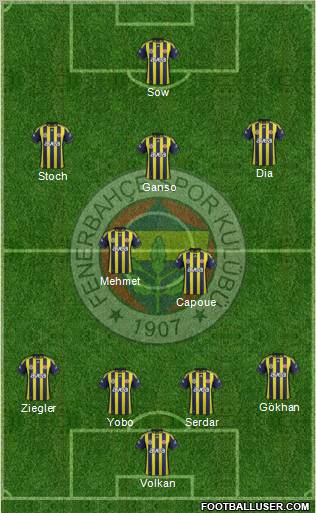 Fenerbahçe SK Formation 2012