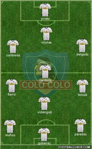 CSD Colo Colo Formation 2012