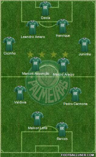 SE Palmeiras Formation 2012