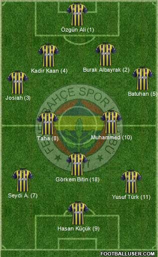 Fenerbahçe SK Formation 2012