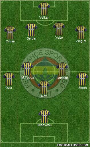 Fenerbahçe SK Formation 2012