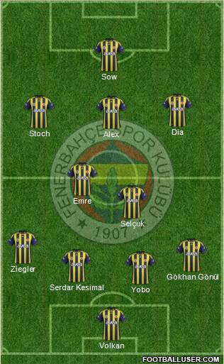 Fenerbahçe SK Formation 2012