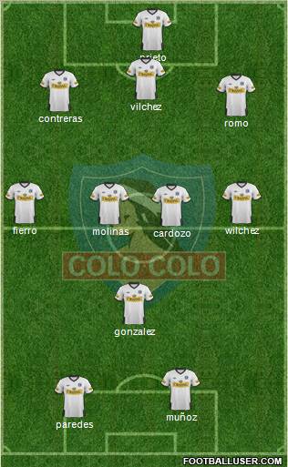 CSD Colo Colo Formation 2012
