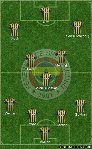 Fenerbahçe SK Formation 2012